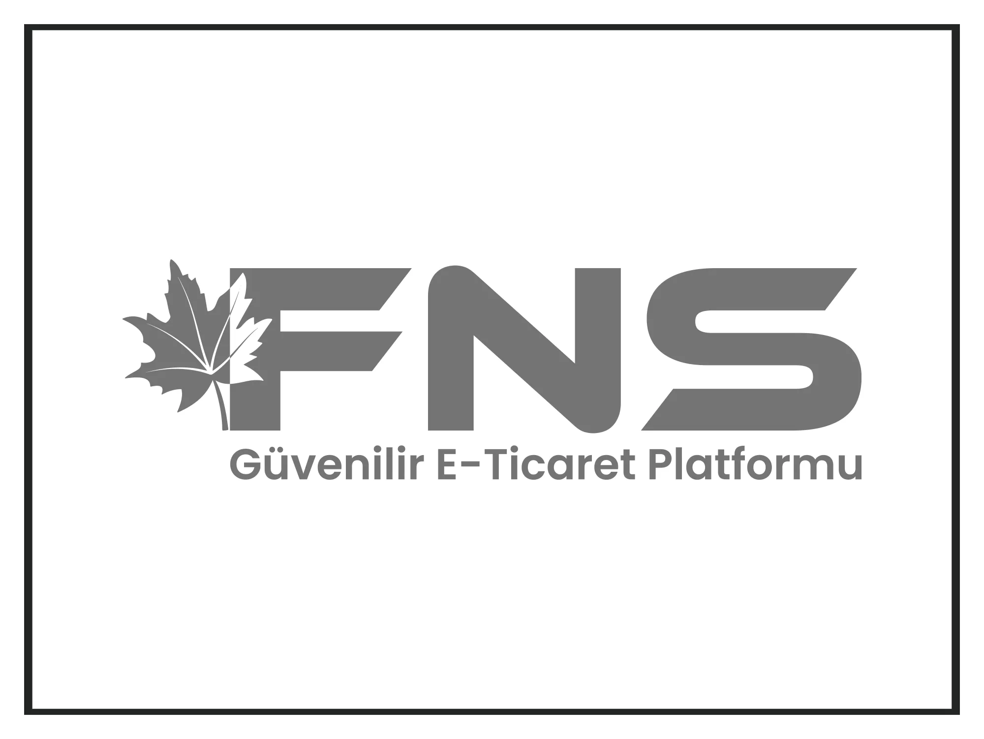 FNS Ticaret